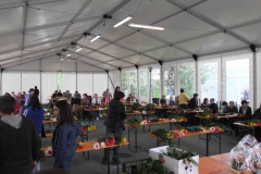 festa dei fiori 2016
