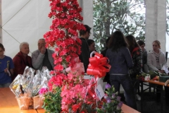 festa dei fiori 2016