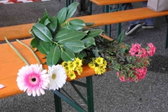 festa dei fiori 2016 a 377