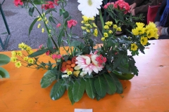 festa dei fiori 2016 a 441