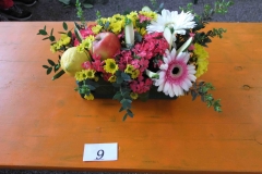 festa dei fiori 2016 a 449