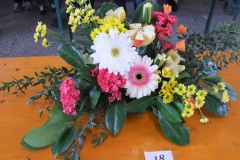 festa dei fiori 2016 a 461